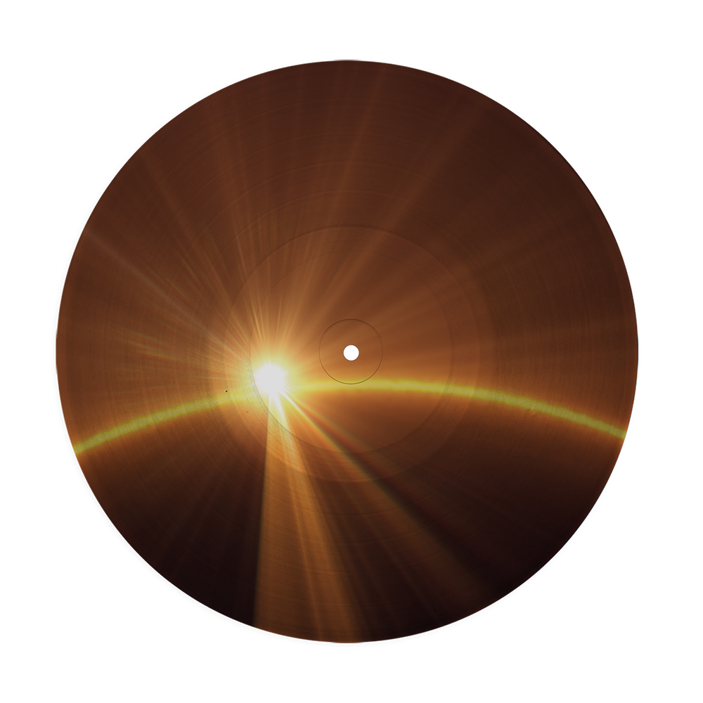 Voyage D2C Picture Disc